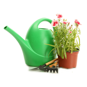 Watering Can