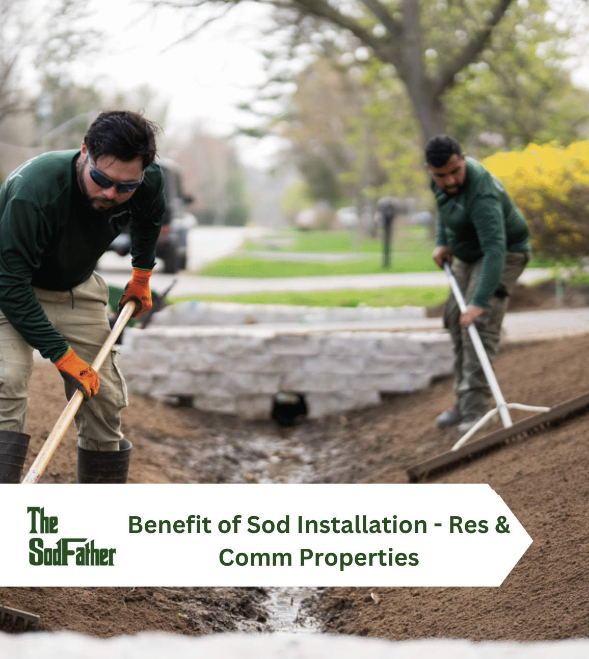 Benefits of Sod Installation – Banner