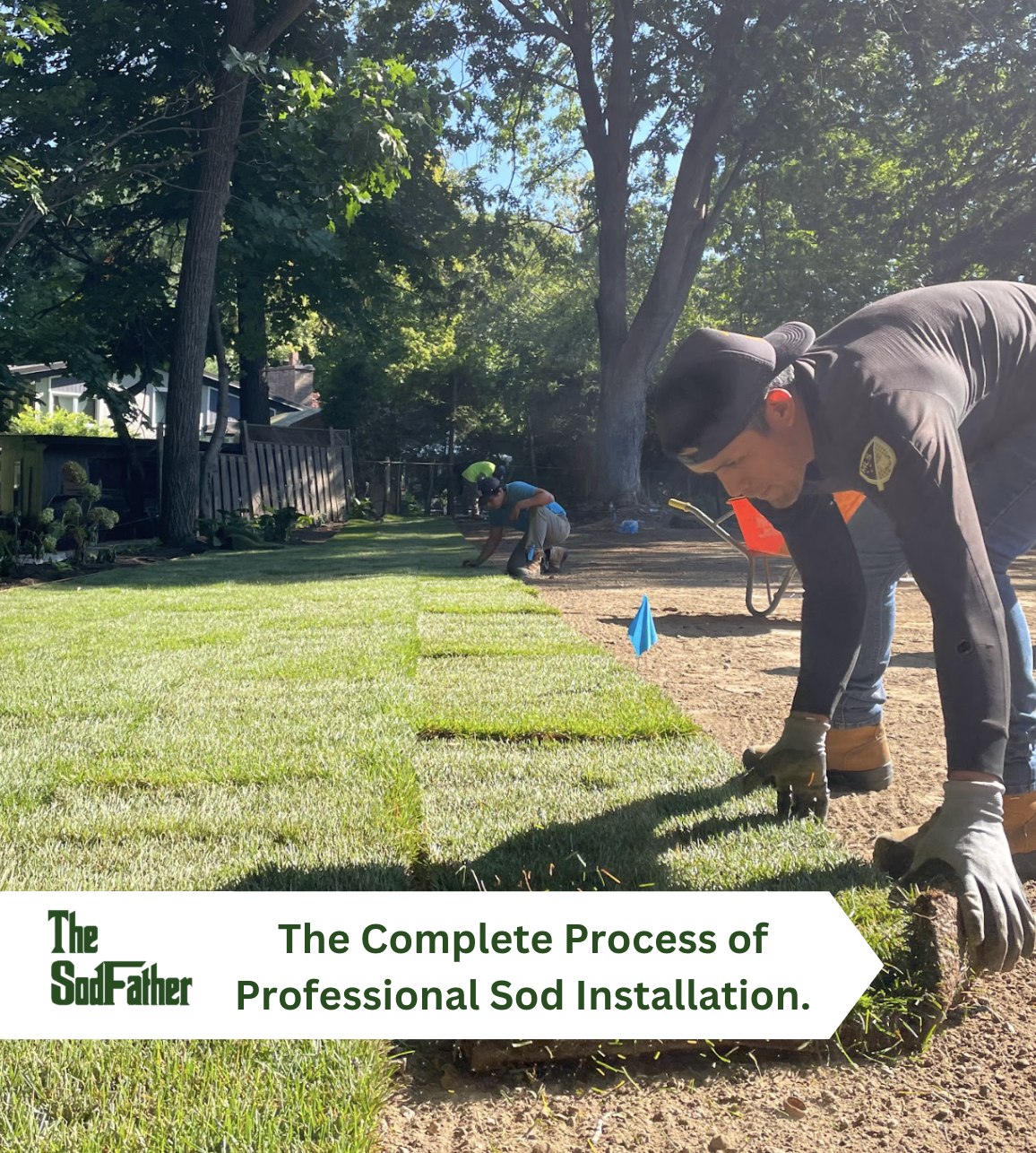 Process of TheSodFather sod installation