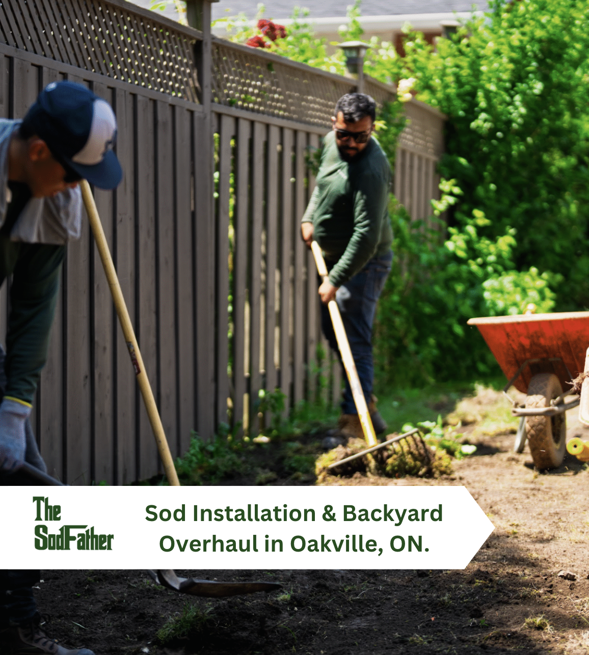 Sod and Backyard Overhaul