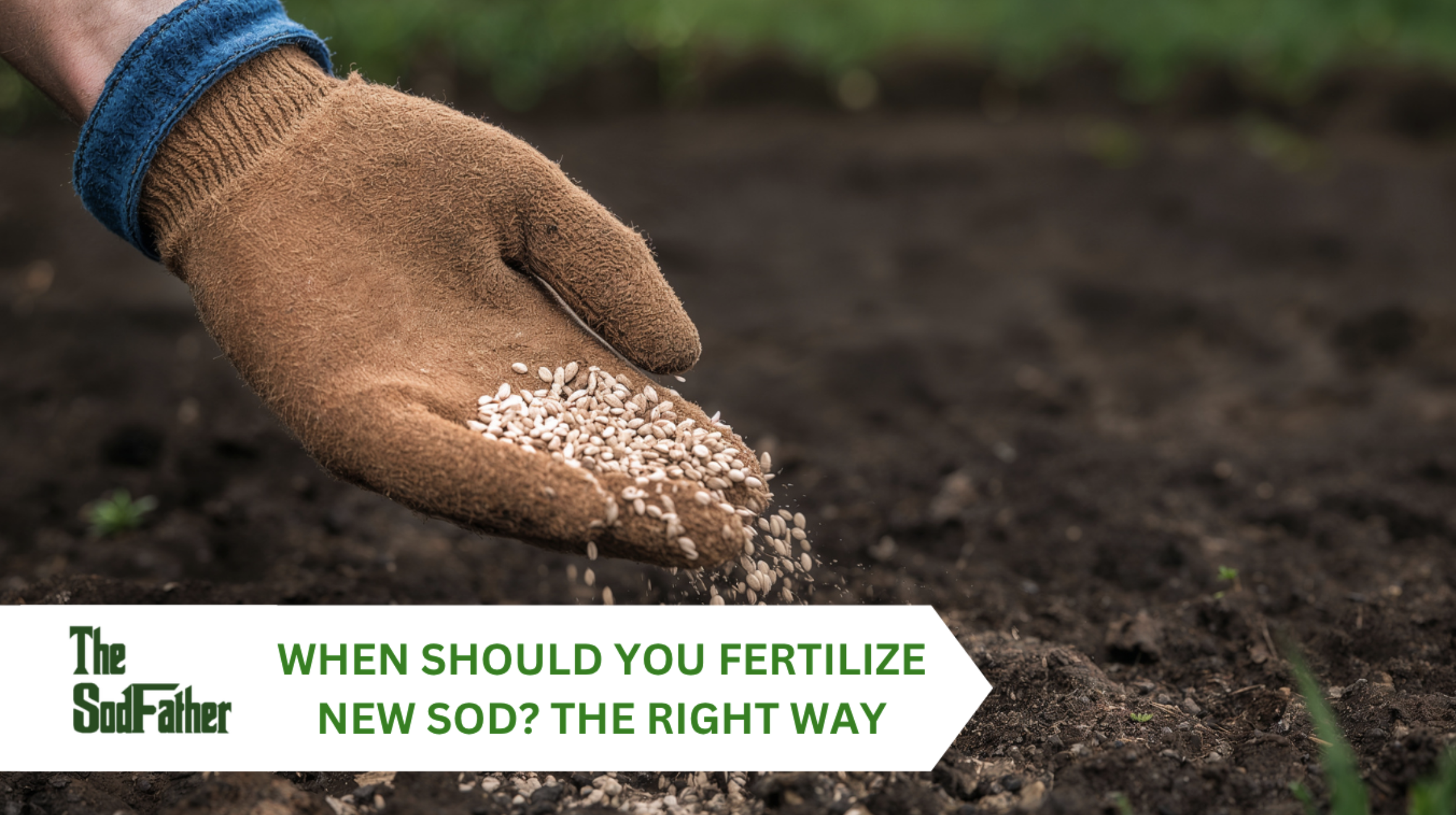 Screenshot 2026-04-06 at 6.04.55 PM