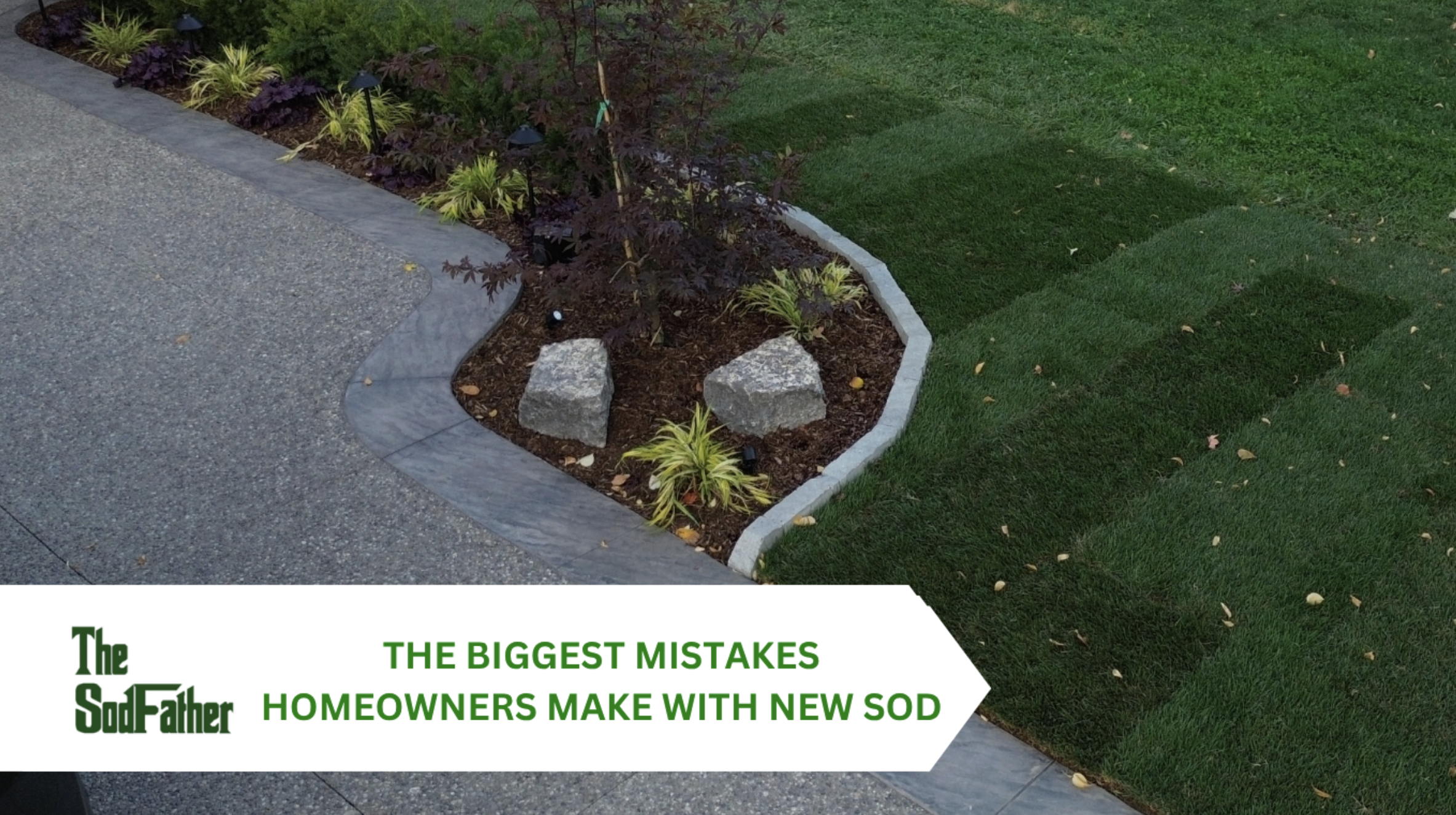 Sod installation 2026 Oakville