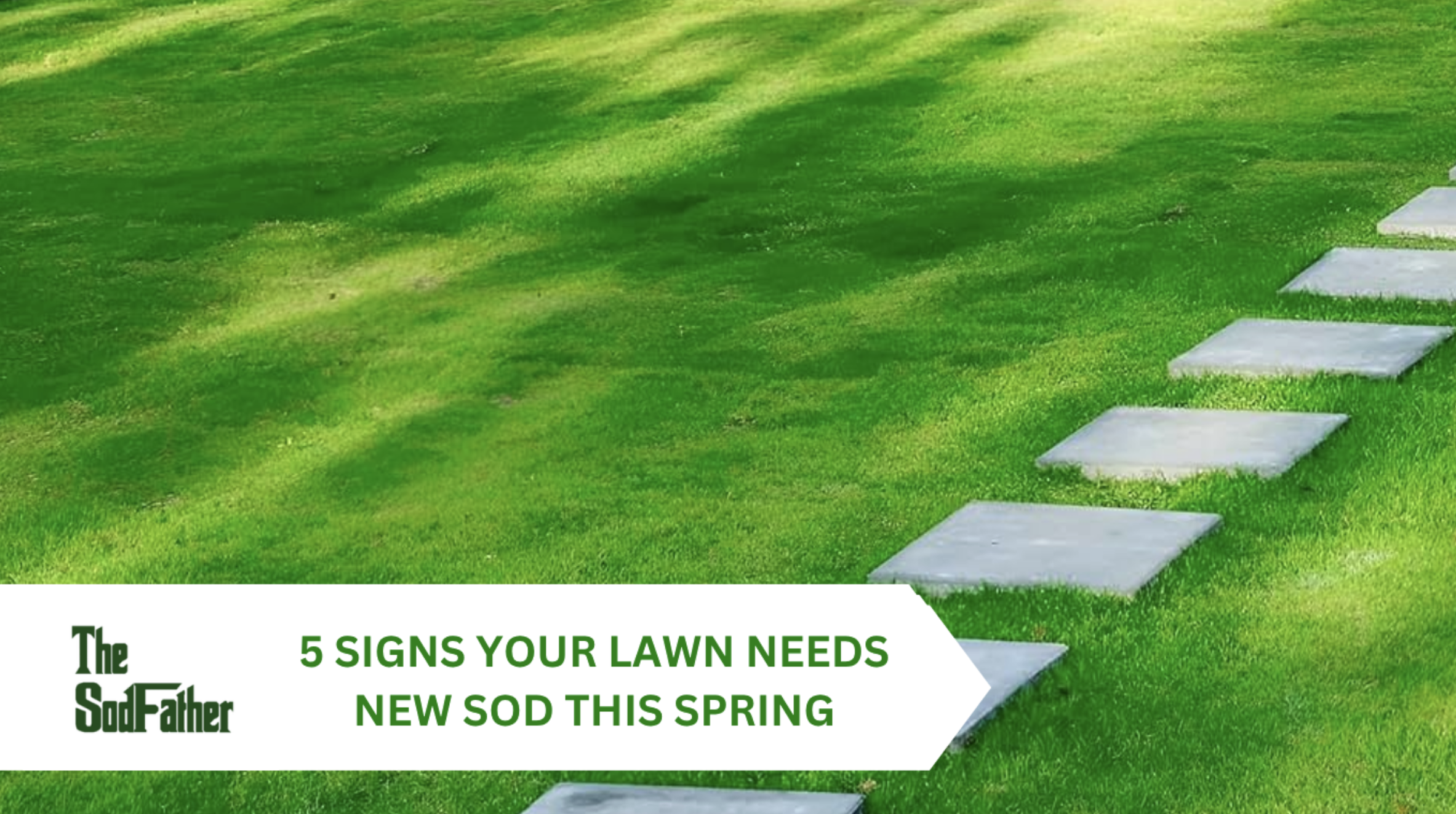 Why Renew my lawn with Sod