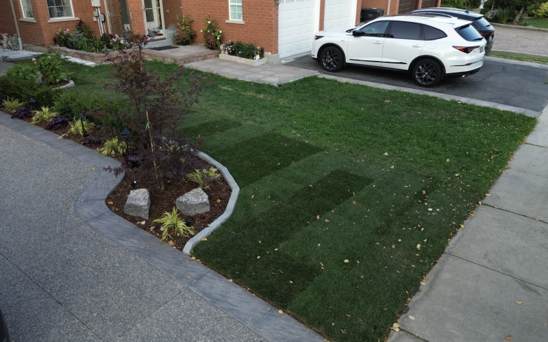 Front Yard Sod Installation