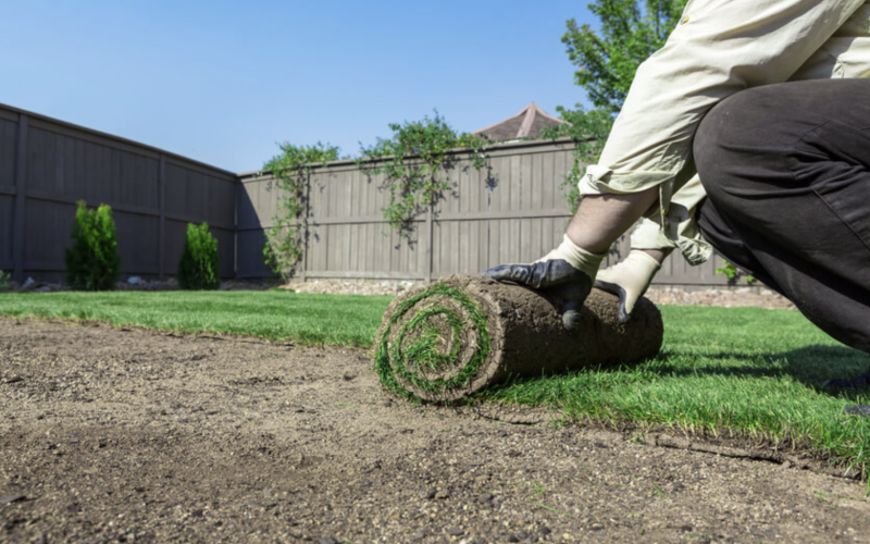 Sod Installation Near you