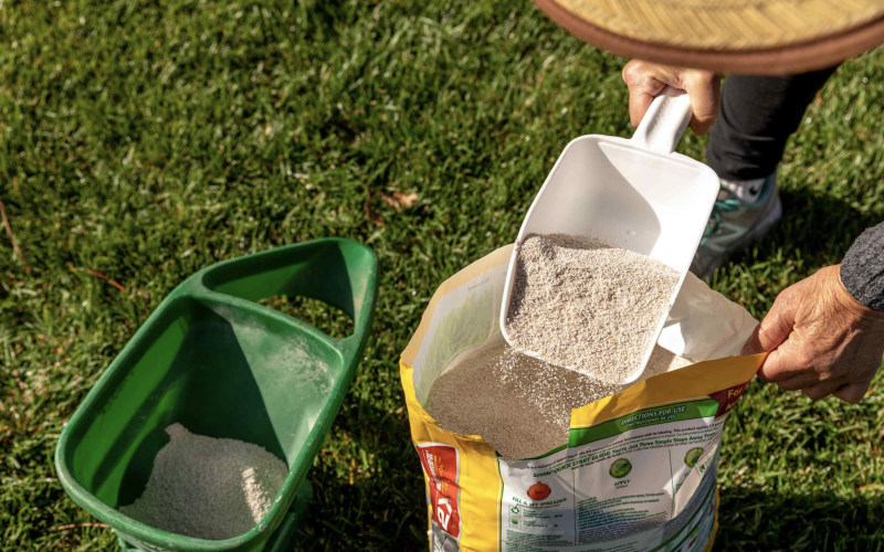 sod installation in Oakville